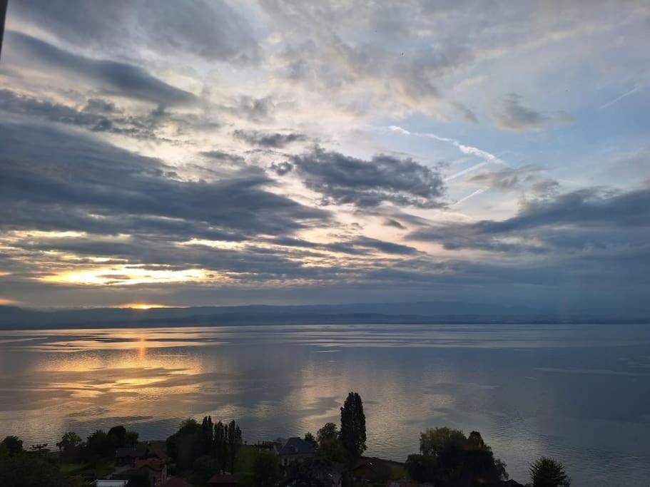 Appartement Avec Vue 180 Sur Le Lac Leman Thonon-les-Bains Zewnętrze zdjęcie