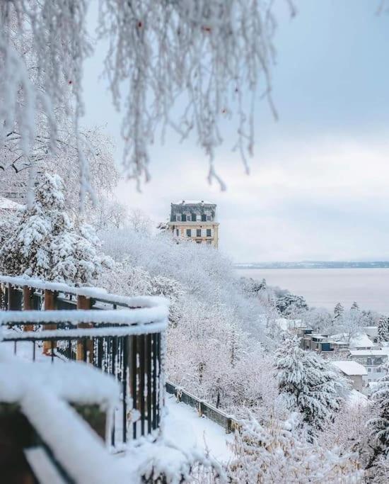 Appartement Avec Vue 180 Sur Le Lac Leman Thonon-les-Bains Zewnętrze zdjęcie